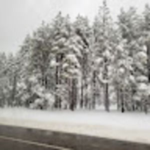 Meet your Posher, Ashleigh